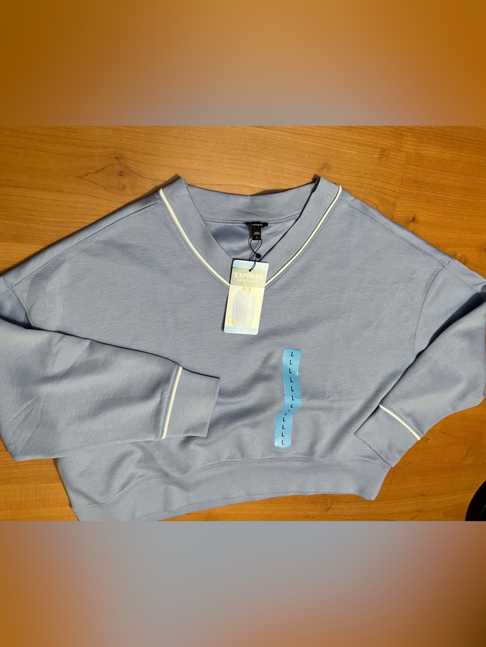 Express Light Blue V-Neck Sweater with Cream Trim super soft blended fabric